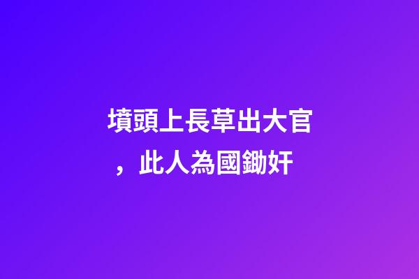 墳頭上長草出大官，此人為國鋤奸